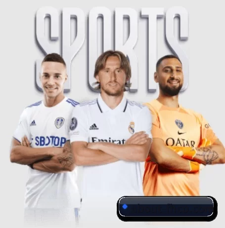 平台简介 - 体育资讯内容服务